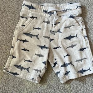 Shark shorts